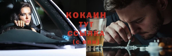 тгк Аркадак